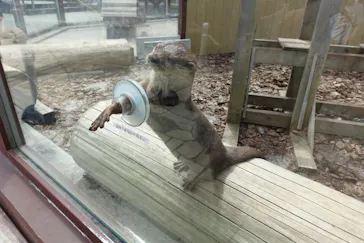 横浜・八景島シーパラダイスに投稿された画像（2021/8/25）