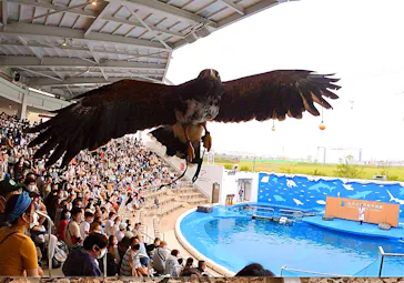 仙台うみの杜水族館に投稿された画像（2021/8/25）