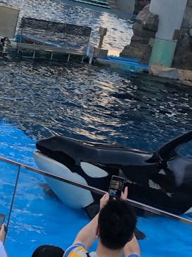 名古屋港水族館に投稿された画像（2021/8/25）