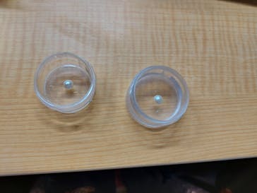 三重県真珠に投稿された画像（2021/8/25）