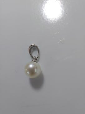 三重県真珠に投稿された画像（2021/8/25）