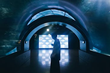 マクセル アクアパーク品川に投稿された画像（2021/8/25）