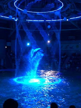 マクセル アクアパーク品川に投稿された画像（2021/8/25）