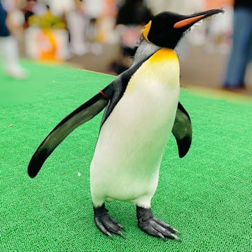 登別マリンパークニクスに投稿された画像（2021/8/25）