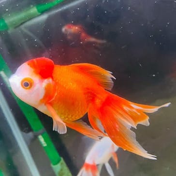 登別マリンパークニクスに投稿された画像（2021/8/25）