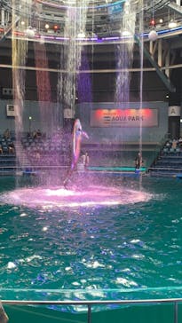 マクセル アクアパーク品川に投稿された画像（2021/8/25）