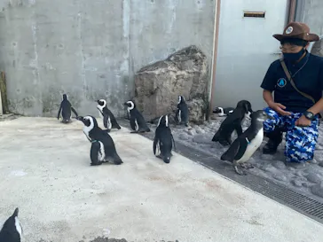 横浜・八景島シーパラダイスに投稿された画像（2021/8/25）