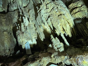 あぶくま洞に投稿された画像（2021/8/25）