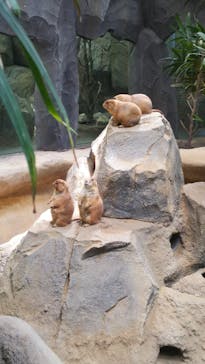 神戸どうぶつ王国に投稿された画像（2021/8/25）