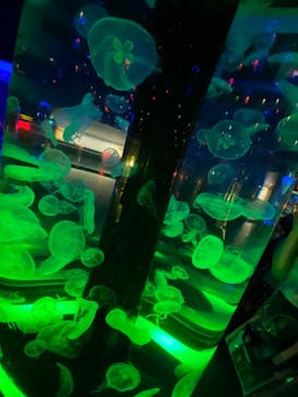 マクセル アクアパーク品川に投稿された画像（2021/8/26）