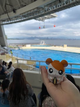 マリンワールド海の中道に投稿された画像（2021/8/26）