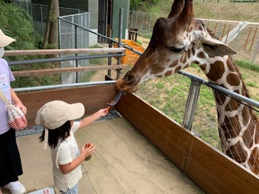 しろとり動物園に投稿された画像（2021/8/26）