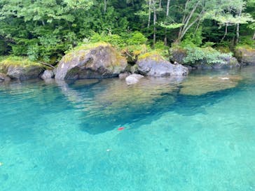 Bluebird Canoe（ブルーバードカヌー）に投稿された画像（2021/8/26）