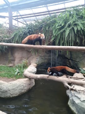 神戸どうぶつ王国に投稿された画像（2021/8/26）