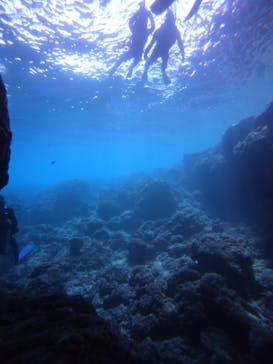 DIVING-SHOP SUNSに投稿された画像（2021/8/26）