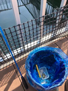 横浜・八景島シーパラダイスに投稿された画像（2021/8/26）