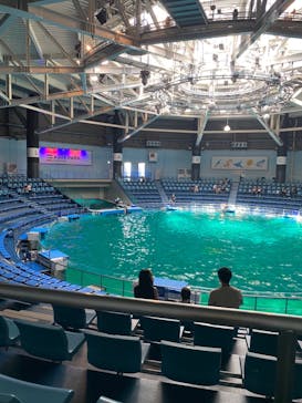 マクセル アクアパーク品川に投稿された画像（2021/8/26）