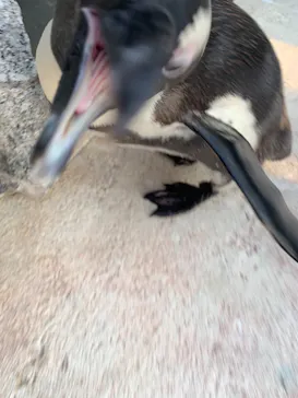 横浜・八景島シーパラダイスに投稿された画像（2021/8/26）