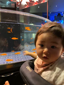 すみだ水族館に投稿された画像（2021/8/26）