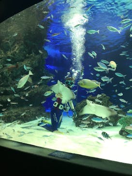 サンシャイン水族館に投稿された画像（2021/8/26）