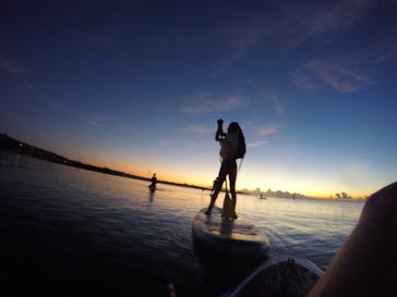 Sea World（シーワールド）に投稿された画像（2021/8/26）