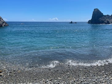 ミッドナイトツアー 奄美に投稿された画像（2021/8/26）