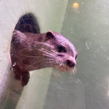 マクセル アクアパーク品川に投稿された画像（2021/8/27）