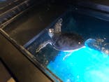 すみだ水族館に投稿された画像（2021/8/27）