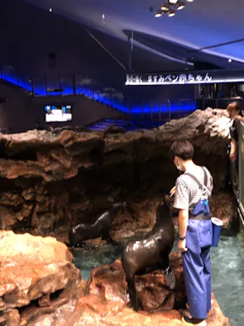 すみだ水族館に投稿された画像（2021/8/27）