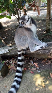 神戸どうぶつ王国に投稿された画像（2021/8/27）