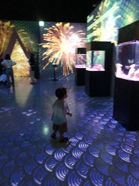 マクセル アクアパーク品川に投稿された画像（2021/8/27）