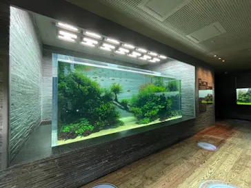 すみだ水族館に投稿された画像（2021/8/27）