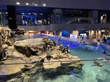 すみだ水族館に投稿された画像（2021/8/27）