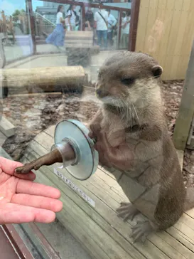 横浜・八景島シーパラダイスに投稿された画像（2021/8/27）