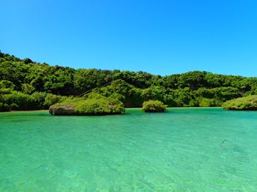 宮古島 ADVENTURE PiPi（ミヤコジマ アドベンチャー ピピ）に投稿された画像（2021/8/27）