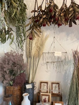 une graine（アングレンヌ）に投稿された画像（2021/8/27）