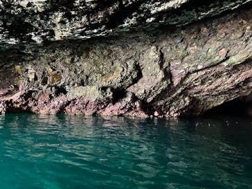 矢越クルーズに投稿された画像（2021/8/27）