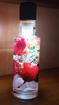 ずこうしつ〜sugamo〜に投稿された画像（2021/8/27）