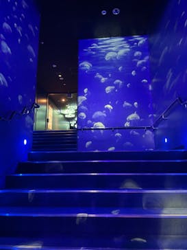 サンシャイン水族館に投稿された画像（2021/8/27）