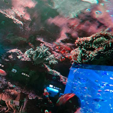 サンシャイン水族館に投稿された画像（2021/8/27）