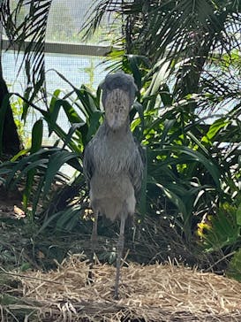 神戸どうぶつ王国に投稿された画像（2021/8/27）