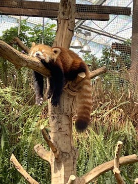 神戸どうぶつ王国に投稿された画像（2021/8/27）