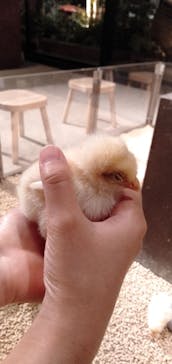 Moff animal world MARK IS みなとみらい店に投稿された画像（2021/8/27）