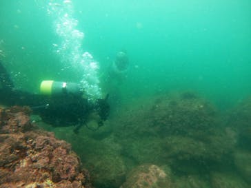 葉山ダイビングサービスに投稿された画像（2021/8/28）