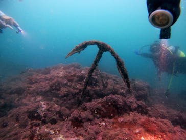 葉山ダイビングサービスに投稿された画像（2021/8/28）