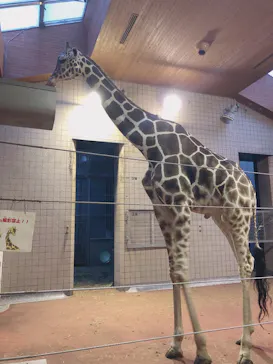 天王寺動物園に投稿された画像（2021/8/28）