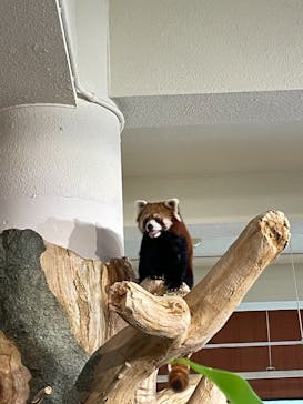 ネオパークオキナワに投稿された画像（2021/8/28）