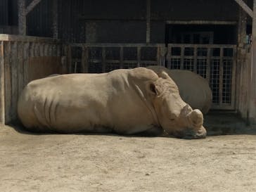 那須サファリパークに投稿された画像（2021/8/28）