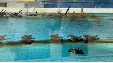 名古屋港水族館に投稿された画像（2021/8/28）