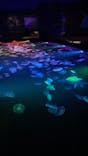 すみだ水族館に投稿された画像（2021/8/28）